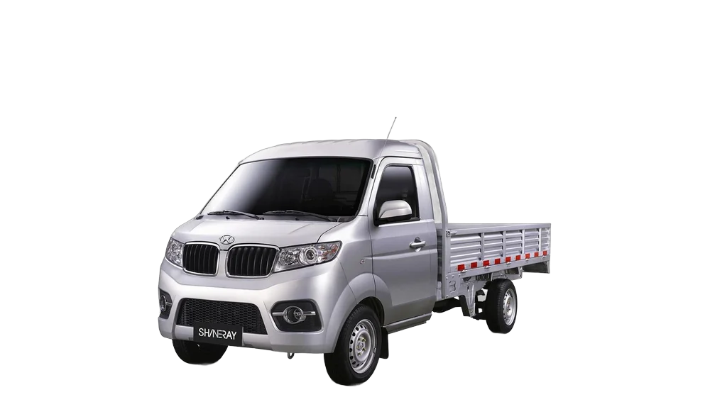 Shineray T30